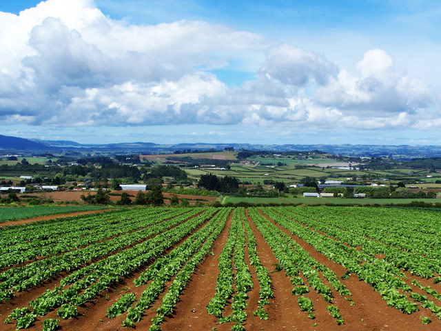 Val Padana - Estate